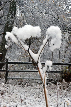 Winter is finally upon us